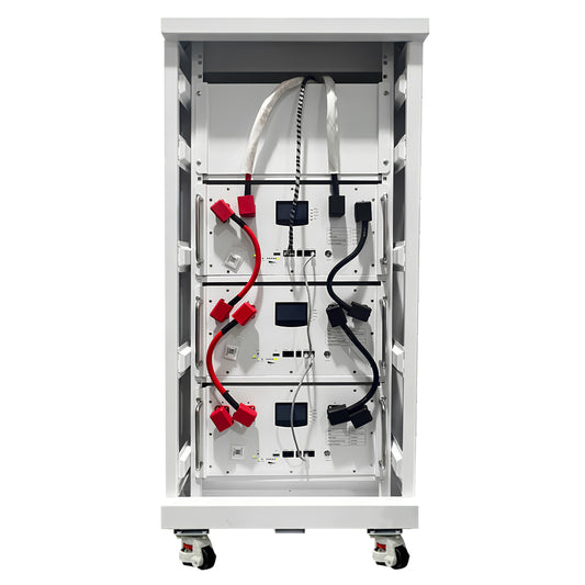 51.2V 100Ah Rack-Mounted Lithium Iron Phosphate (LiFePO4) Battery